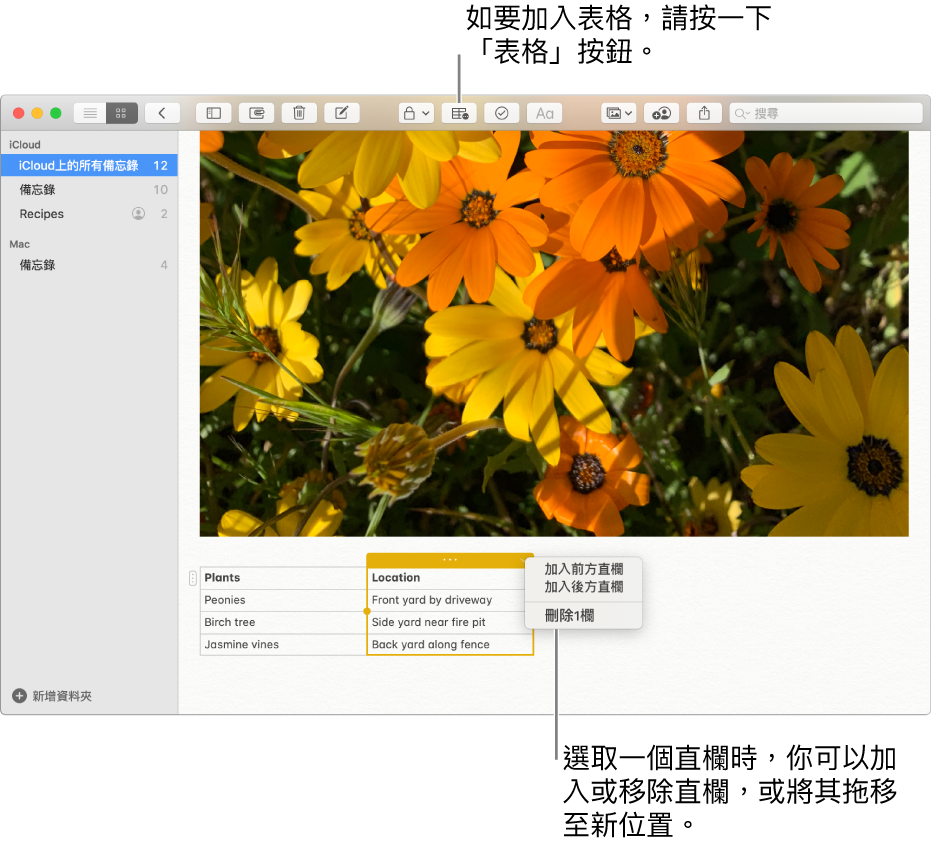 如「備忘錄」視窗顯示「表格」按鈕，按一下以加入表格。在備忘錄內容中，選擇表格直欄讓你可以加入或移除直欄，或將其拖移至新位置。