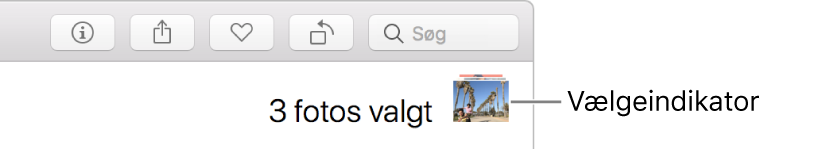 En valgindikator, der viser tre valgte fotografier.