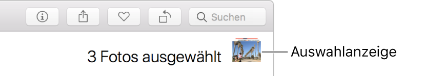 Auswahlanzeige mit drei ausgewählten Fotos.