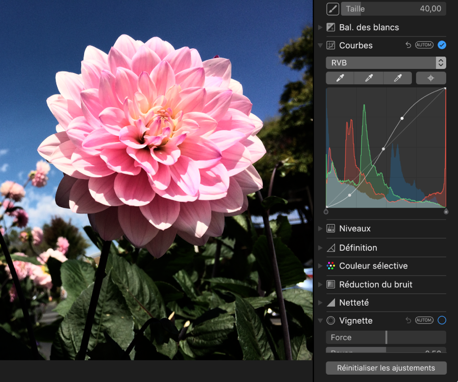 Une photo après les ajustements Courbes.