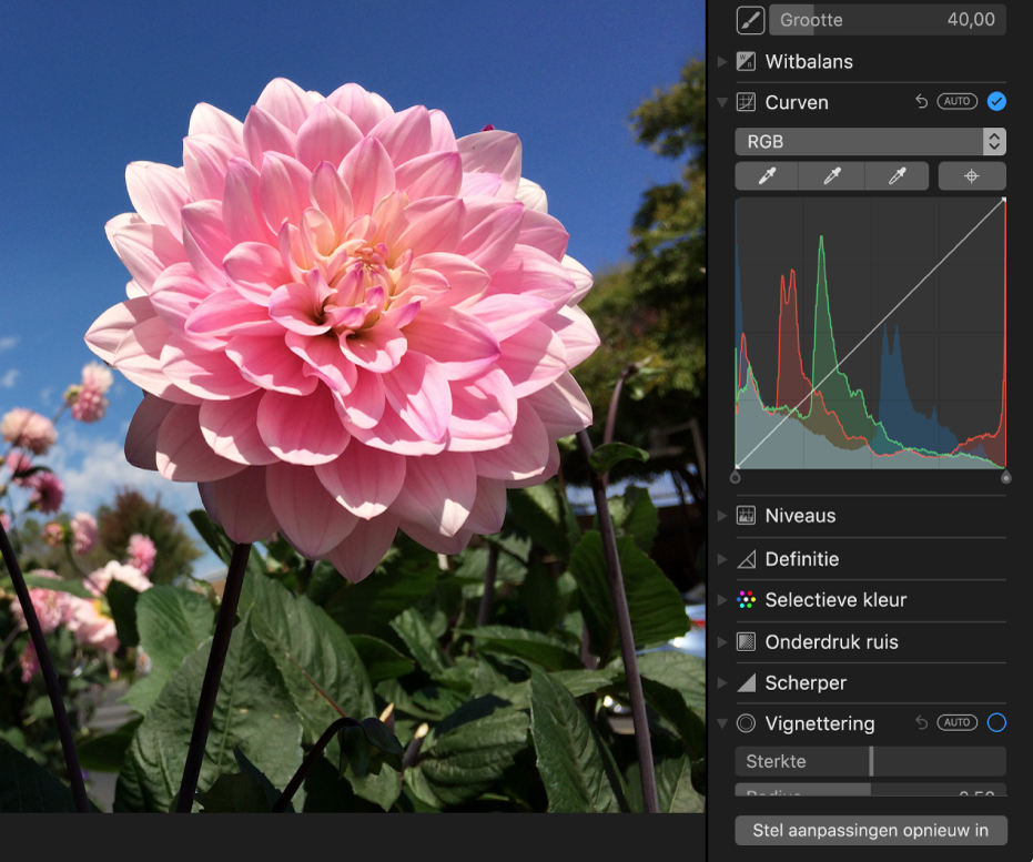 Een foto vóór het gebruik van de aanpassing 'Curven'.