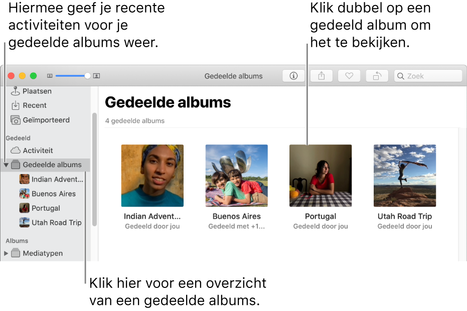 Het paneel 'Gedeelde albums' van het Foto's-venster, met gedeelde albums.