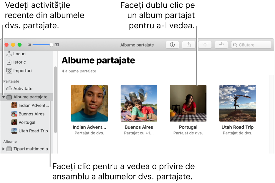Panoul Albume partajate din fereastra Poze, afișând albumele partajate.