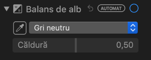Comenzile Balans de alb din panoul Ajustează.