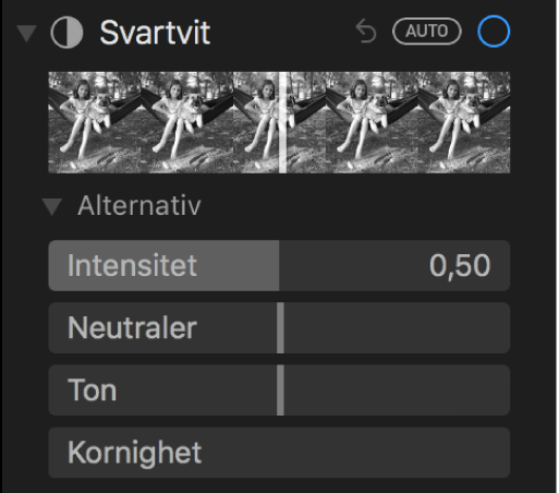 Området Svartvit på panelen Justering med reglage för intensitet, neutraler, ton och kornighet.