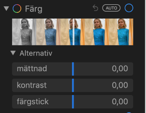 Området Färg på panelen Justering med reglage för mättnad, kontrast och färgstick.