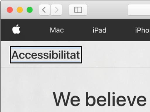 El cursor de VoiceOver (un contorn rectangular fosc) està enfocat en la paraula “Accessibilitat” a la pantalla.