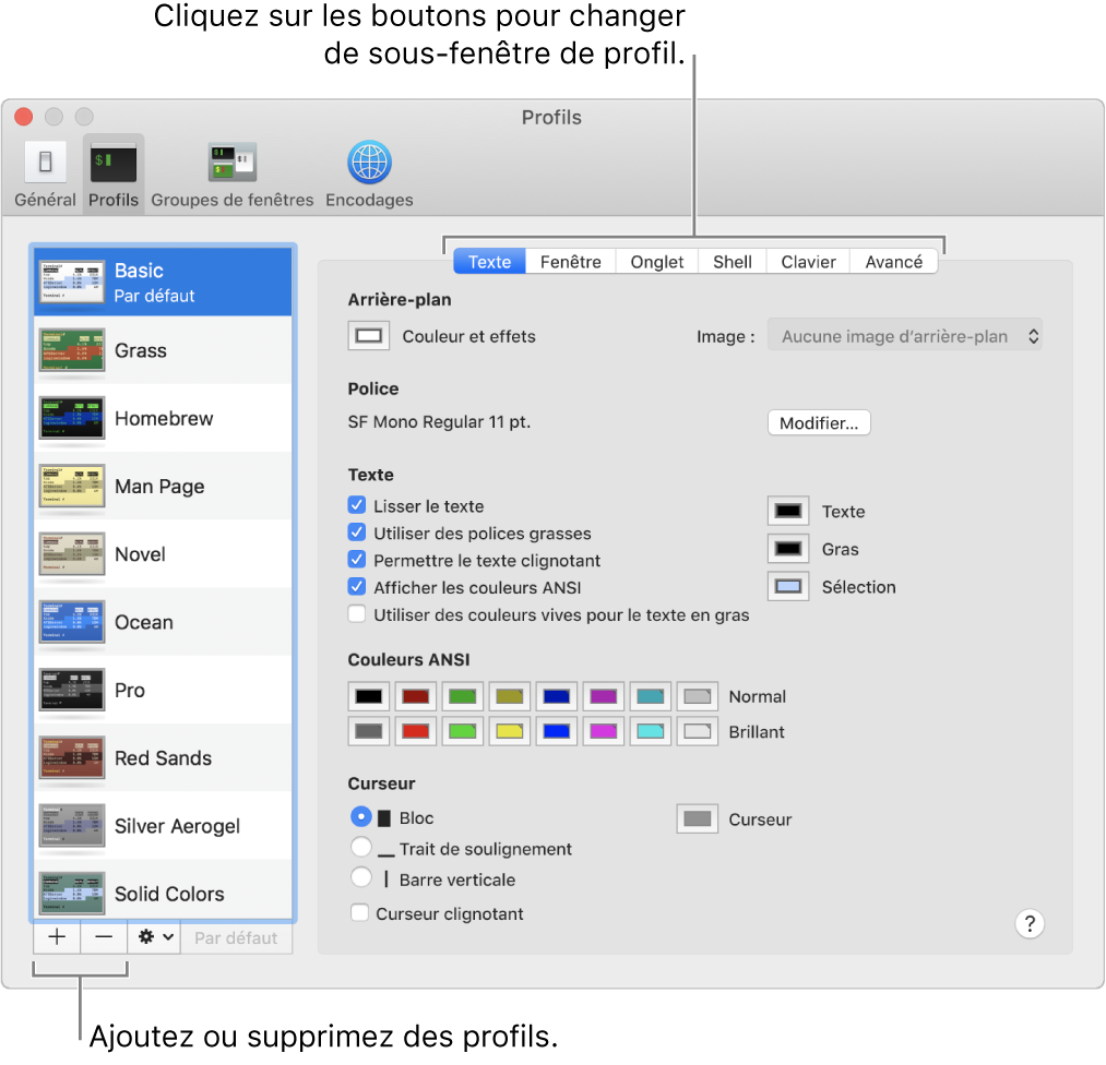 La sous-fenêtre Profils de Terminal présentant le profil Basic sélectionné, des boutons pour ajouter et supprimer des profils, ainsi que des boutons permettant de changer de sous-fenêtre de profils.