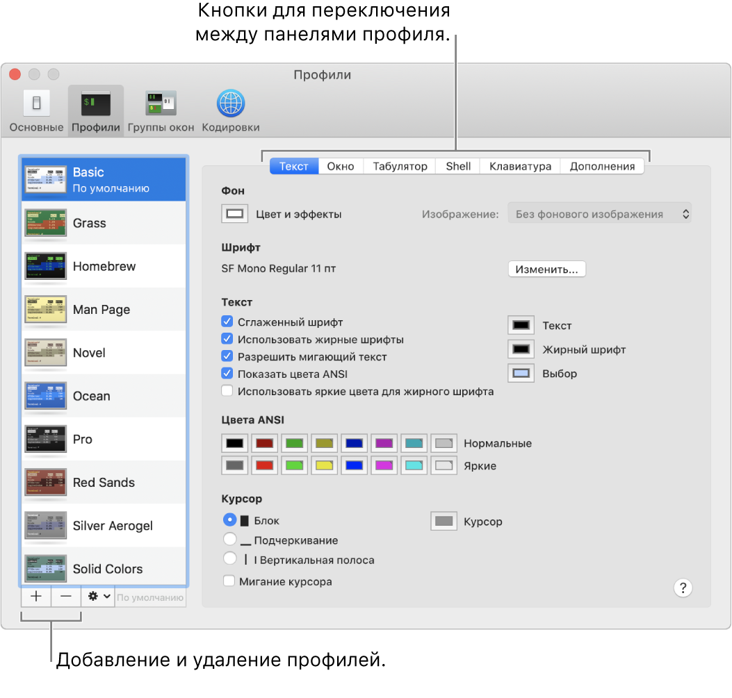 Панель «Профили» в программе «Терминал». Отображаются: выбранный профиль Basic, кнопки добавления и удаления профилей и кнопки для переключения панелей профилей.