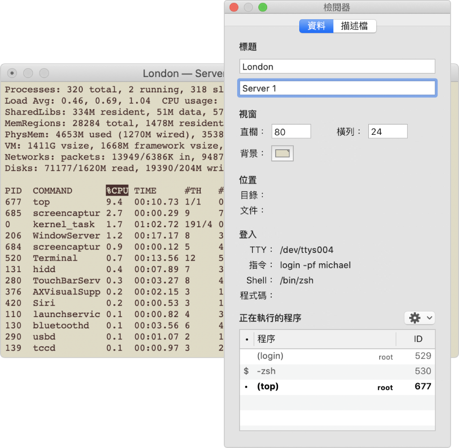 「終端機」中的「檢閱器」面板。