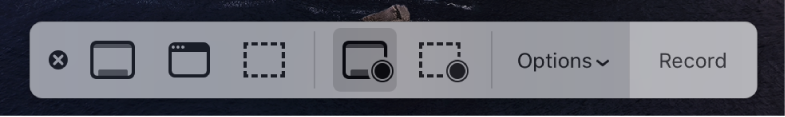 Screenshot tools with the Record button on the right and the Options pop-up menu next to it.