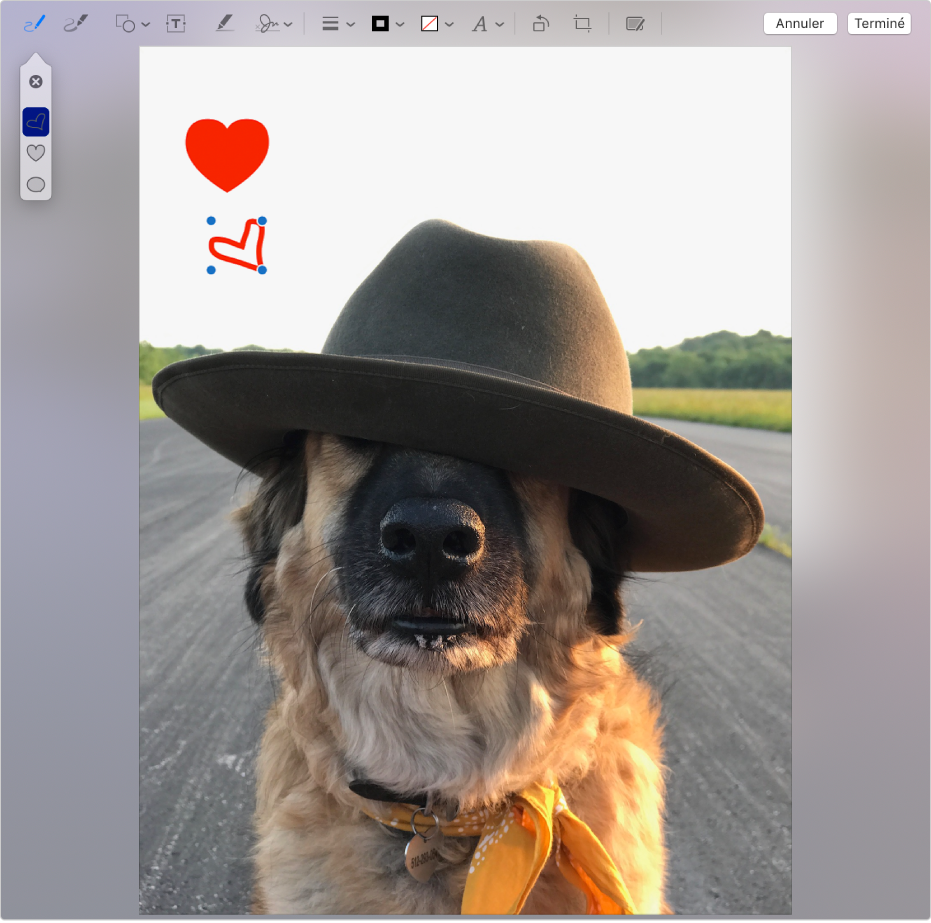 Une image contenant un cœur dessiné avec les outils d’annotation.