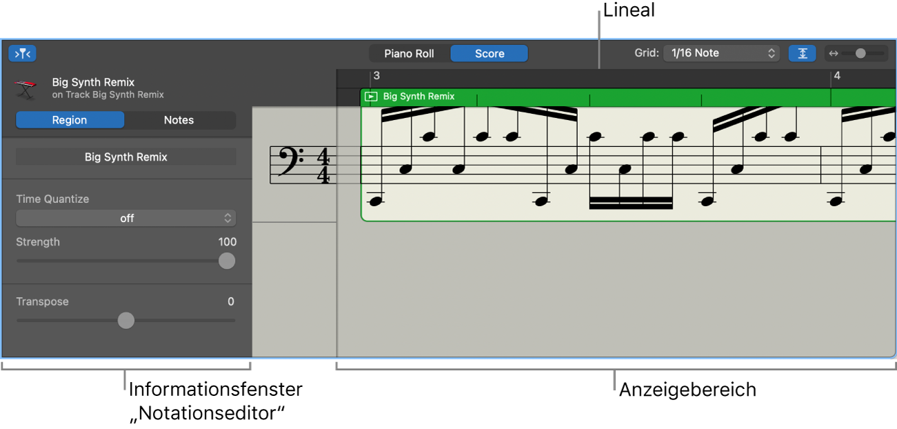 Notationseditor mit Informationsfenster und Anzeigebereich