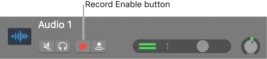 Track header showing Record Enable button.
