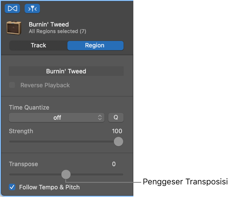 Inspektur Editor Audio dalam mode Bidang, yang menampilkan penggeser Transposisi.