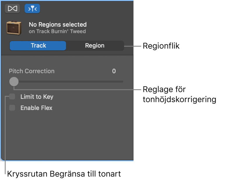 Ljudredigerarens granskare i spårläge, med reglaget för tonhöjdskorrigering och kryssrutan Begränsa till tonart.