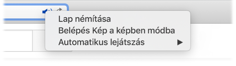 A Hang ikonjának almenüje, a Lap némítása, Belépés Kép a képben módba és Automatikus lejátszás lehetőségekkel.