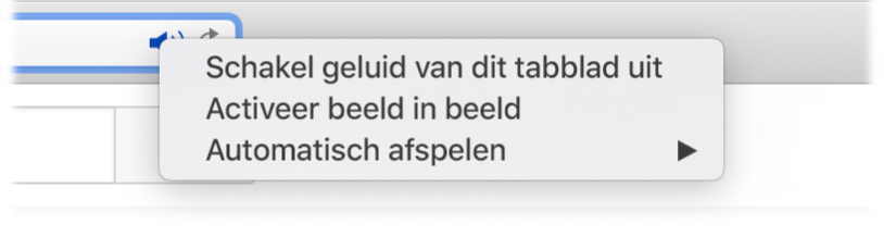 Het submenu van het audiosymbool, met 'Schakel geluid van dit tabblad uit', 'Activeer beeld in beeld' en onderdelen voor automatisch afspelen.