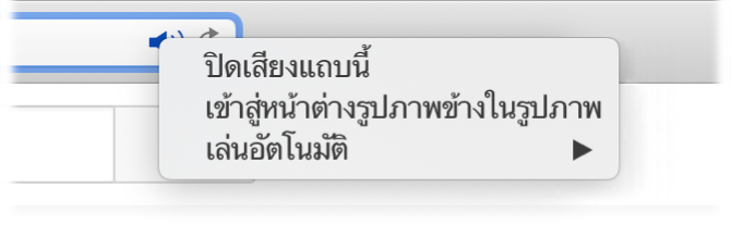 เมนูย่อยของไอคอนเสียง พร้อมกับรายการต่างๆ ซึ่งได้แก่ ปิดเสียงแถบนี้ เข้าสู่หน้าต่างรูปภาพข้างในรูปภาพ และเล่นอัตโนมัติ