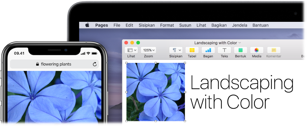 iPhone menampilkan foto, di samping Mac yang menampilkan foto tersebut sedang ditempel ke dalam dokumen Pages.