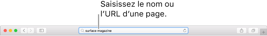 Le champ de recherche intelligente de Safari, dans lequel vous pouvez saisir le nom ou l’URL d’une page.