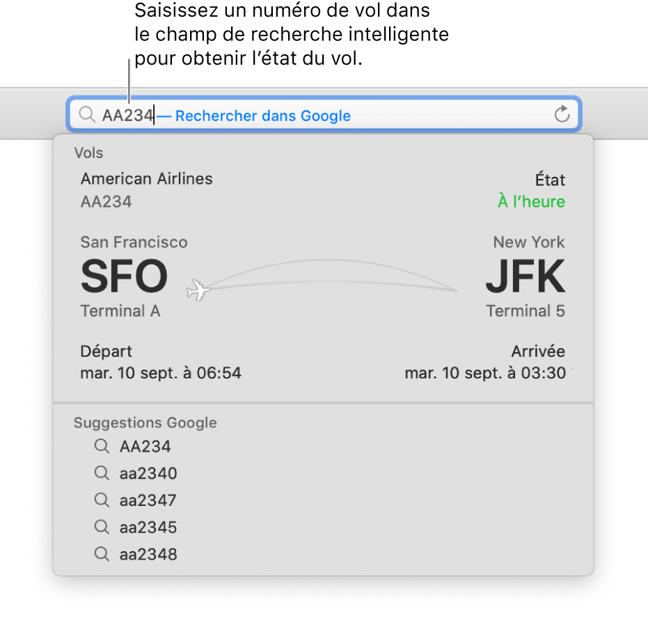 Un numéro de vol saisi dans le champ de recherche intelligente, avec le statut du vol affiché juste dessous.