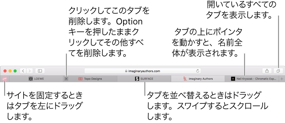 タブのある Safari ウインドウ。