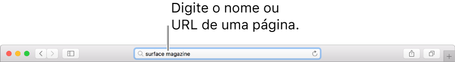 Campo de Busca Inteligente do Safari, onde você pode digitar o nome ou URL de uma página