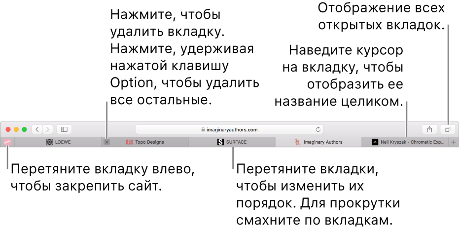 Окно Safari со вкладками.