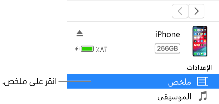 نافذة الجهاز، مع تحديد الملخص في الشريط الجانبي على اليمين.