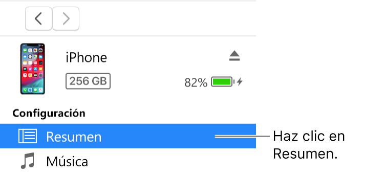 La ventana Dispositivo con la opción Resumen seleccionada en la barra lateral de la izquierda.