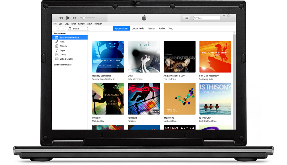 Jendela iTunes dengan perpustakaan yang berisi beberapa album.