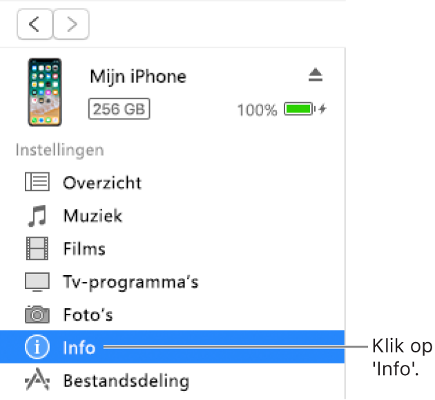 Het apparaatvenster met in de zijbalk aan de linkerkant 'Info' geselecteerd.