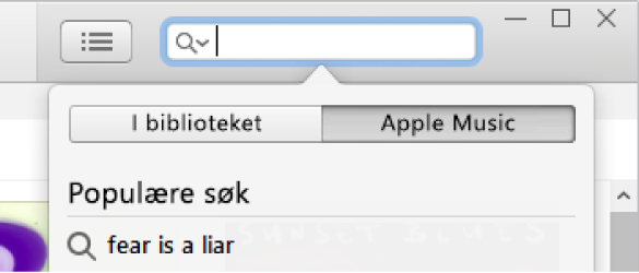 Søkefeltet for Apple Music.