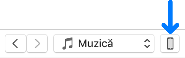 Butonul Dispozitiv selectat din apropierea părții de sus a ferestrei iTunes.