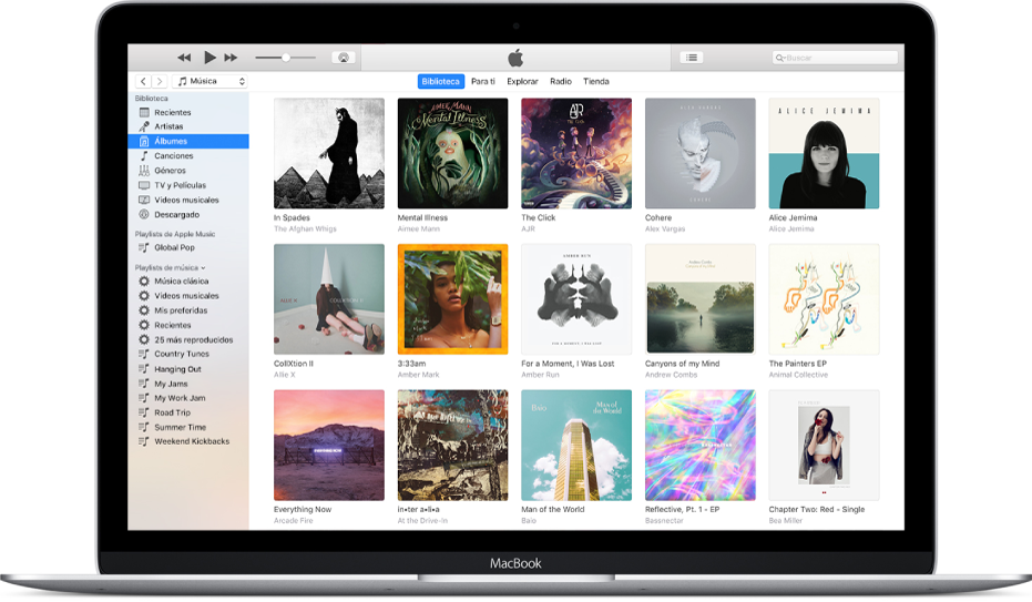 La ventana de iTunes con una biblioteca de varios álbumes.