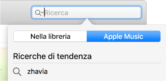 Campo di ricerca di Apple Music.