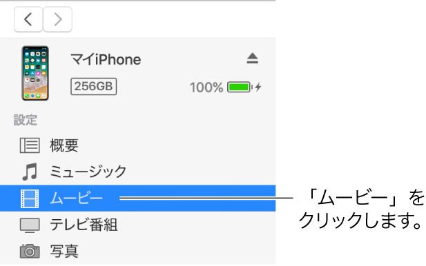 デバイスのウインドウ。左側のサイドバーで「ムービー」が選択されています。