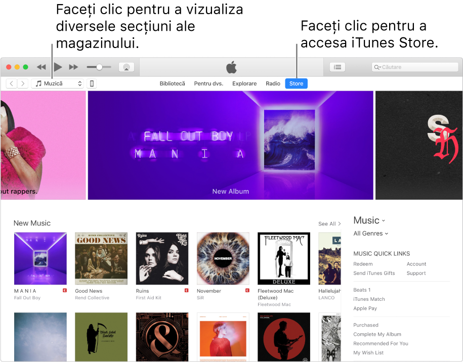 Fereastra principală iTunes Store: În bara de navigare, este evidențiat Store. În colțul din stânga sus, selectați pentru a vizualiza diferite tipuri de conținut în Store (cum ar fi Muzică sau Emisiuni TV).