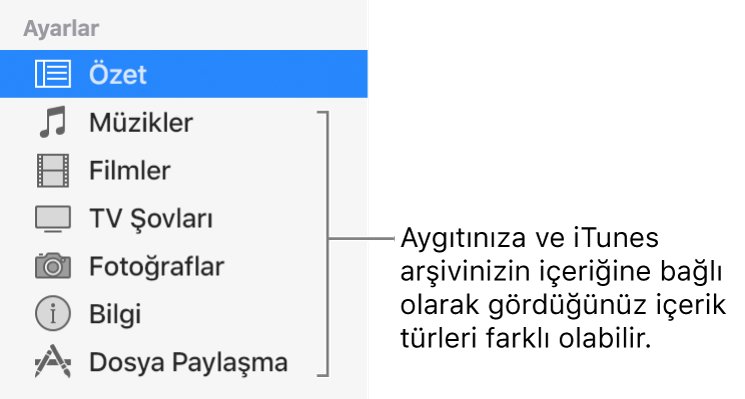 Soldaki kenar çubuğunda seçili olan Özet öğesi. Aygıtınıza ve iTunes arşivinizin içeriğine bağlı olarak görünen içerik türleri farklı olabilir.