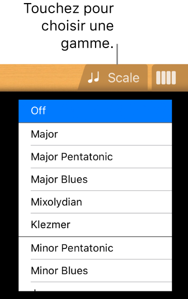 Bouton Gamme de guitare