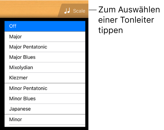 Taste „Skala“ und Tonskalenliste für die Gitarre