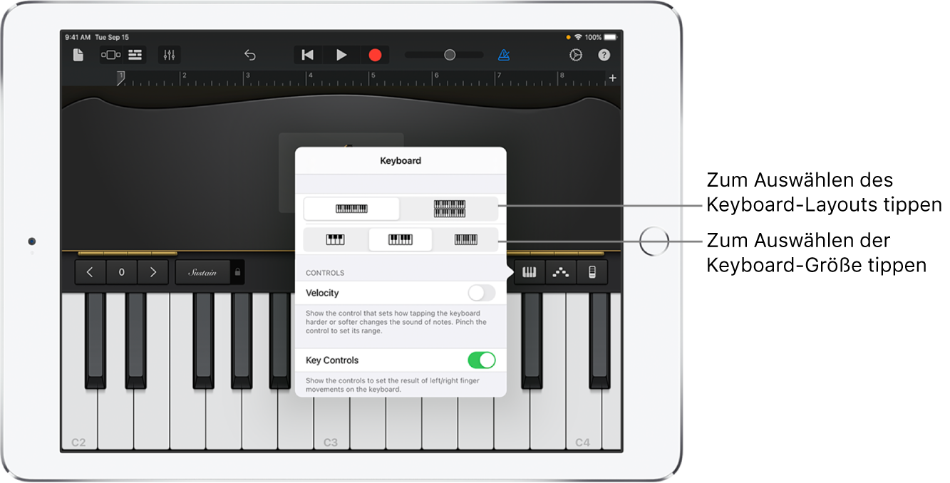 Steuerelemente für Keyboard-Layout und -Größe