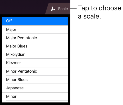 Strings Scale button and scale list