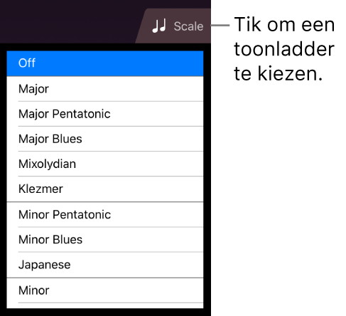 Knop 'Toonladder' en toonladderlijst voor de snaarinstrumenten