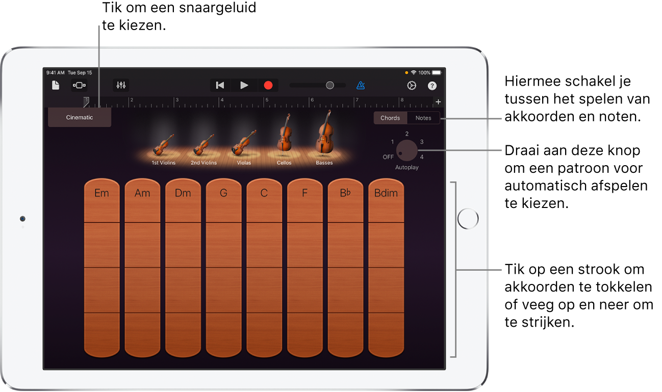 Touch-instrument Snaarinstrumenten