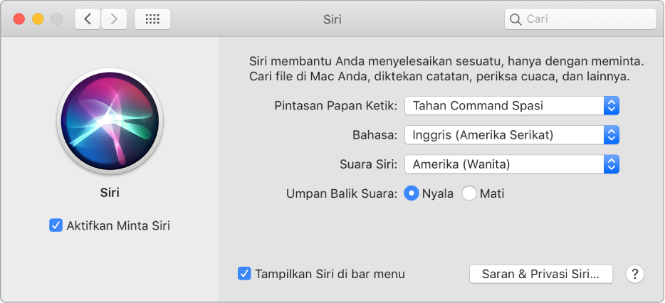 Jendela preferensi Siri dengan Aktifkan Minta Siri dipilih di sebelah kiri dan beberapa pilihan untuk menyesuaikan Siri di sebelah kanan.