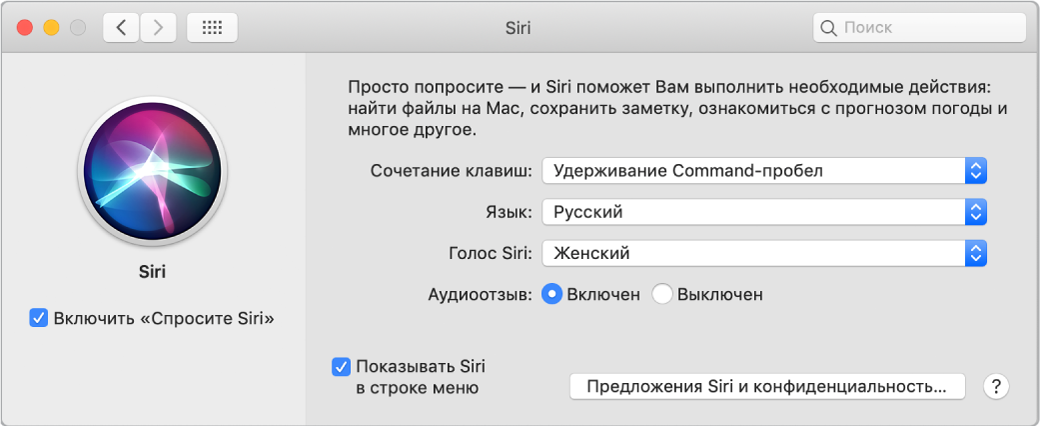 Окно настроек Siri, в котором слева отмечена галочка включения «Спросите Siri», а справа содержатся параметры настройки Siri.