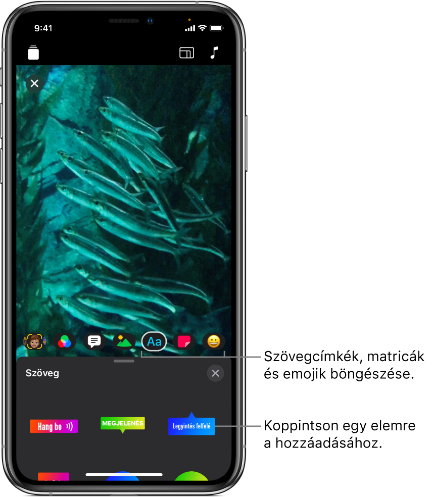 Egy videó képe a megtekintőben, alatta a kijelölt Szöveg opcióval és a választható szöveges címkékkel.