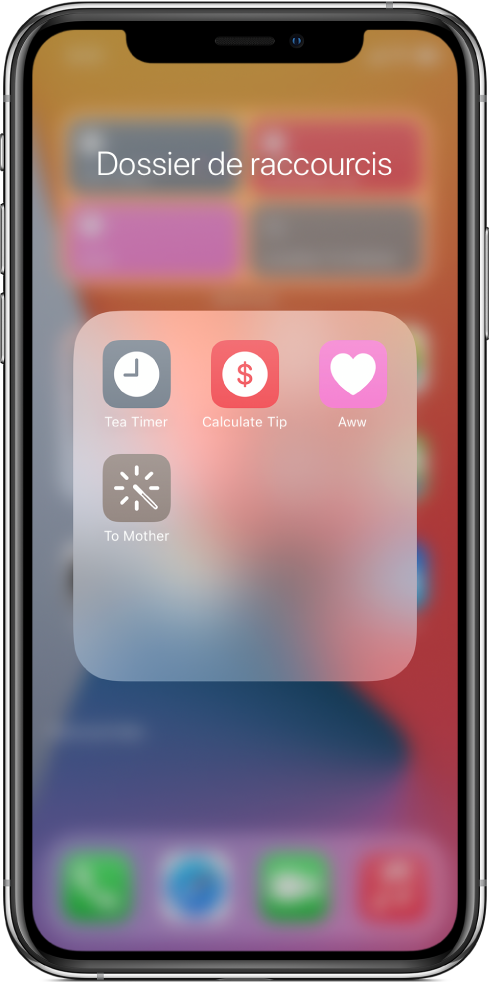 Raccourcis regroupés dans un dossier sur l’écran d’accueil.